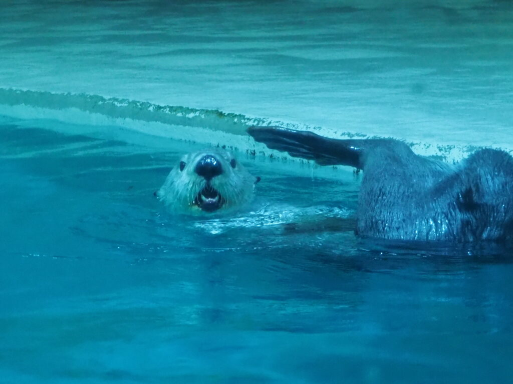 メイちゃん　正面